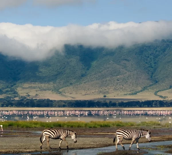 NGORONGORO CRATER